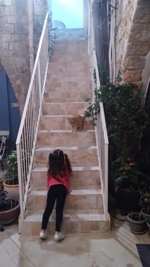 מלון تاج عكا Taj Akko מראה חיצוני תמונה